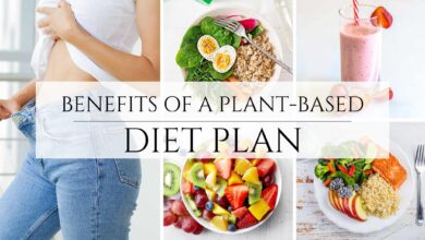 Plant-Based Diet