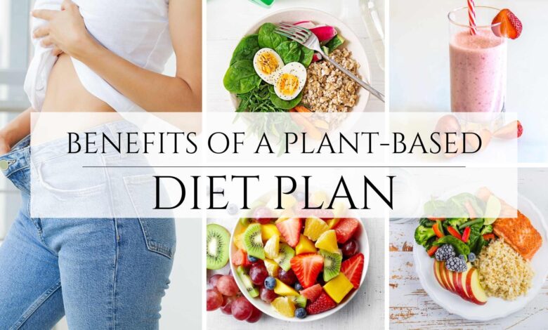 Plant-Based Diet