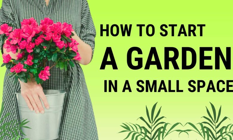 How to Start a Garden in a Small Space