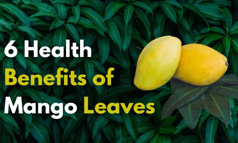 6 Health Benefits of Mango Leaves