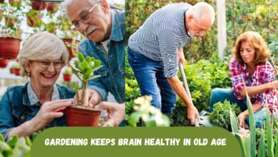 Gardening Keeps Brain Healthy in Old Age