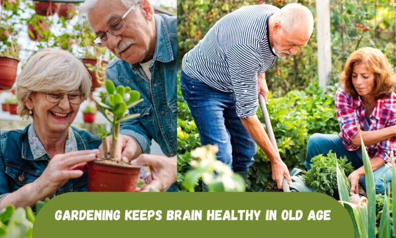 Gardening Keeps Brain Healthy in Old Age