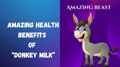 The Health Benefits of Donkey Milk