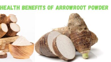 arrowroot