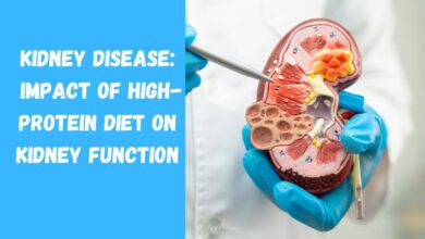 Kidney Disease: Impact of High-Protein Diet on Kidney Function, Risks, and Prevention