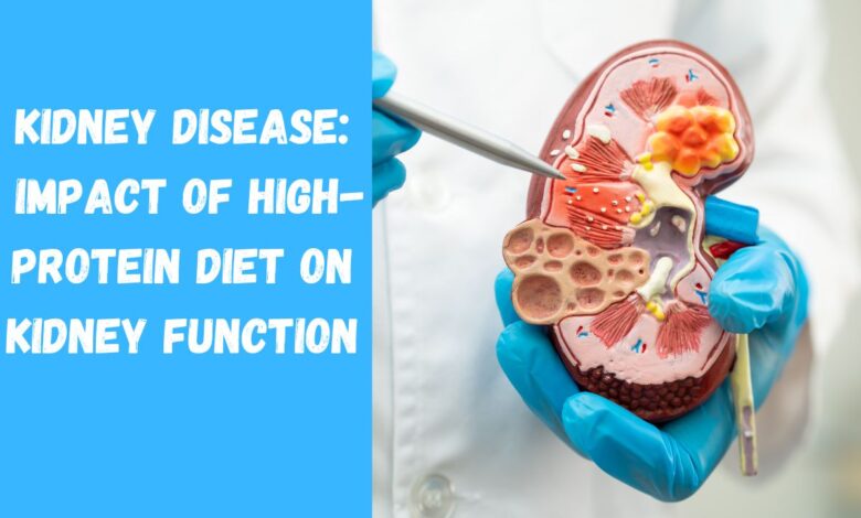 Kidney Disease: Impact of High-Protein Diet on Kidney Function, Risks, and Prevention