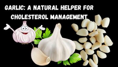 Garlic-A-Natural-Helper-for-Cholesterol-Management