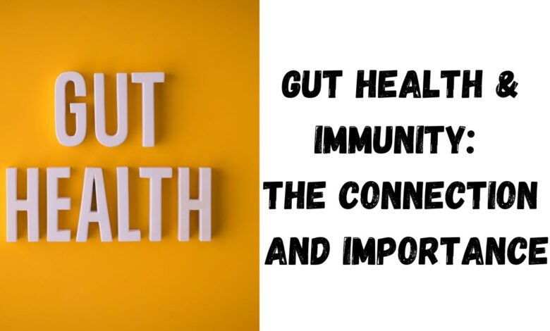 Gut Health & Immunity