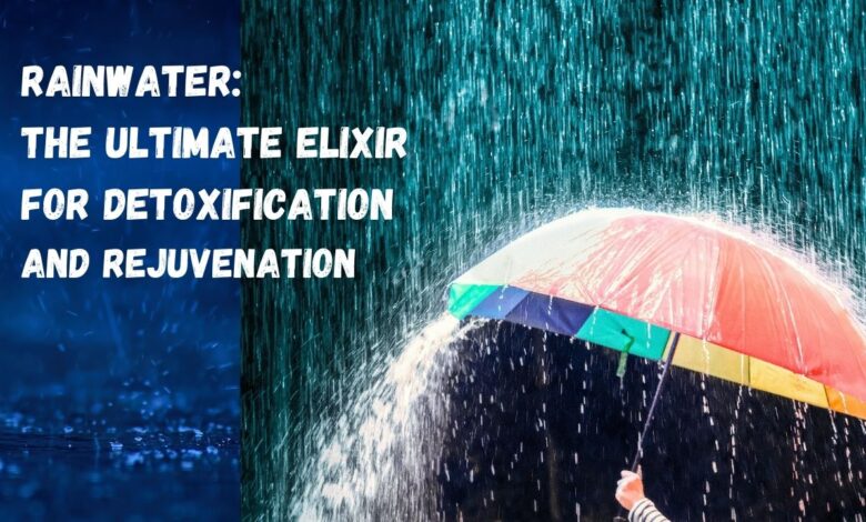 Rainwater-The-Ultimate-Elixir-for-Detoxification-and-Rejuvenation