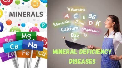 Role of Minerals in Human Body" incorporating mineral deficiency diseases